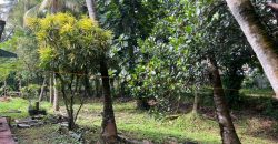 Commercial Land in Kelaniya