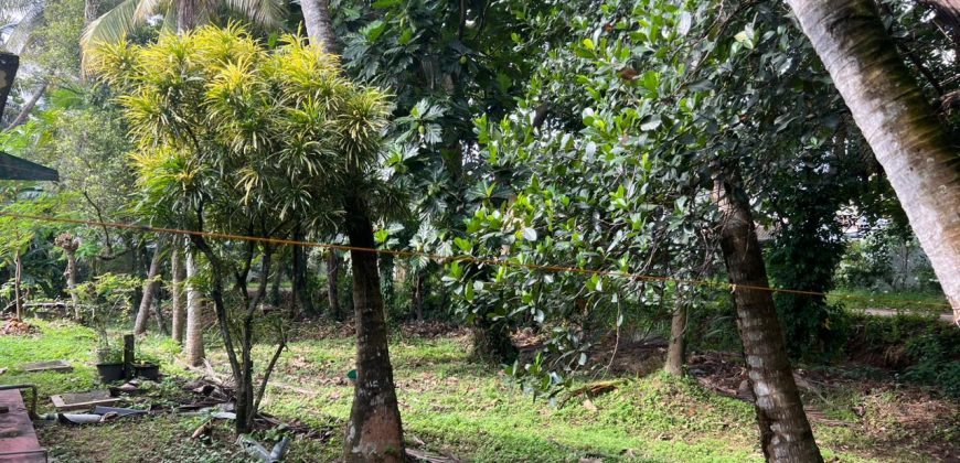 Commercial Land in Kelaniya