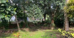Commercial Land in Kelaniya