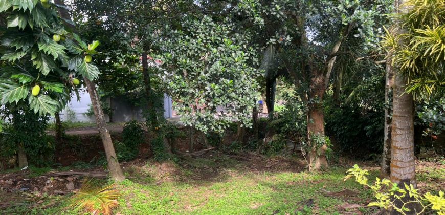 Commercial Land in Kelaniya