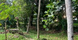 Commercial Land in Kelaniya