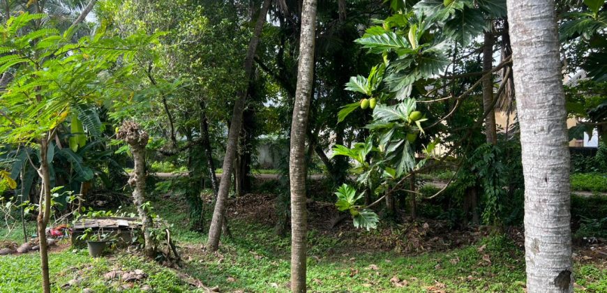 Commercial Land in Kelaniya