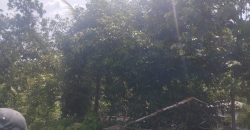 Land for Sale at Padukka – Watareka