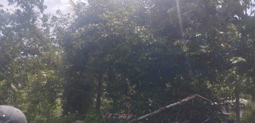 Land for Sale at Padukka – Watareka