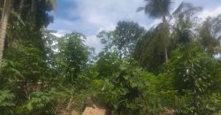 Land for Sale at Padukka – Watareka
