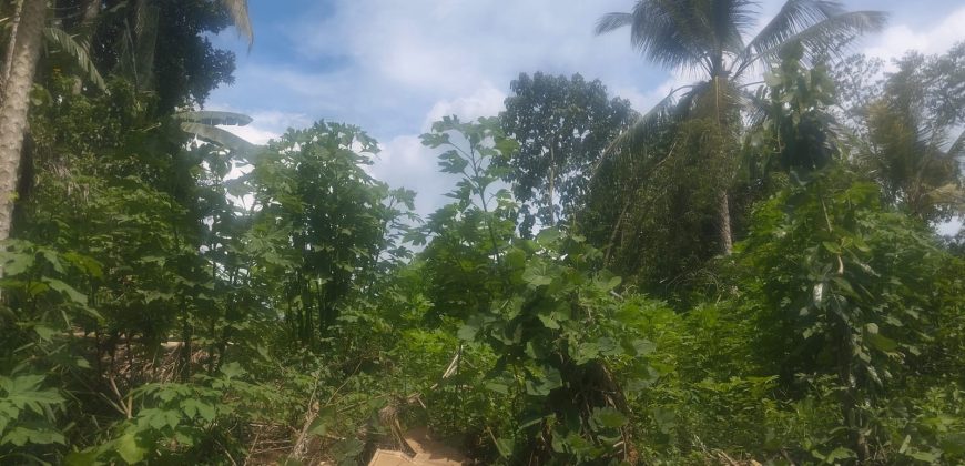 Land for Sale at Padukka – Watareka