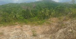Land for Sale at Padukka – Watareka