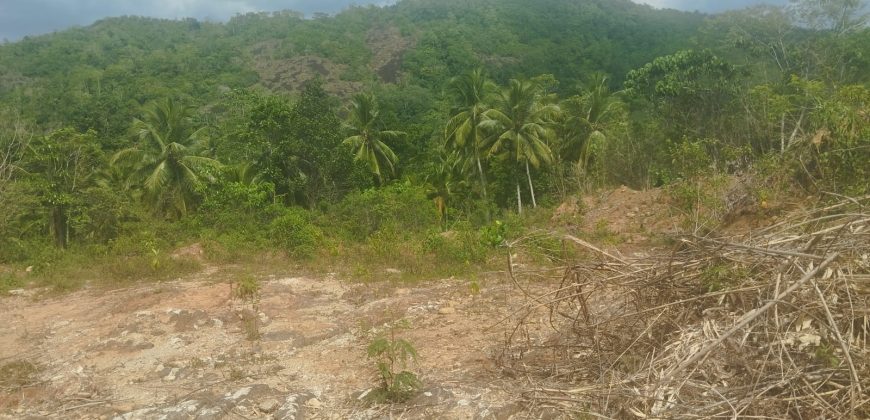 Land for Sale at Padukka – Watareka
