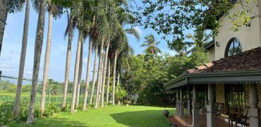 Luxury Villa with paddy field for sale at Pannipitiya
