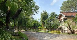 Luxury Villa with paddy field for sale at Pannipitiya