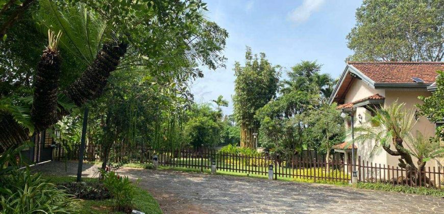 Luxury Villa with paddy field for sale at Pannipitiya