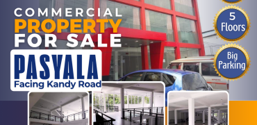 Commercial Property for Sale in Pasyala Town