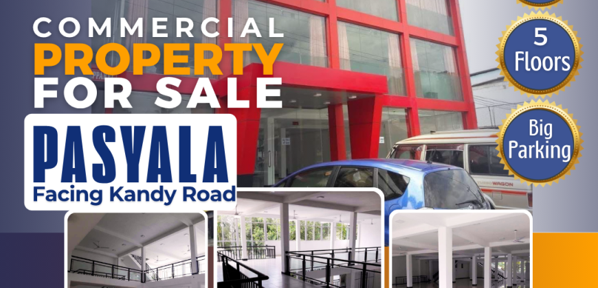 Commercial Property for Sale in Pasyala Town