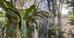 Luxury Villa with paddy field for sale at Pannipitiya