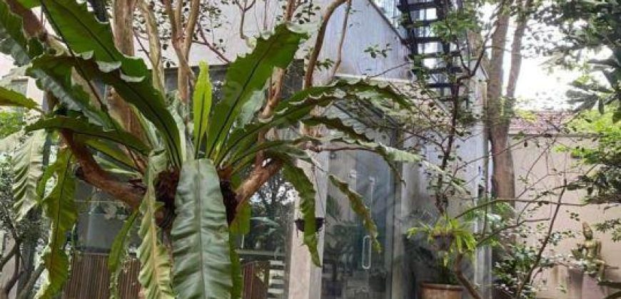 Luxury Villa with paddy field for sale at Pannipitiya