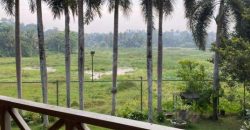 Luxury Villa with paddy field for sale at Pannipitiya