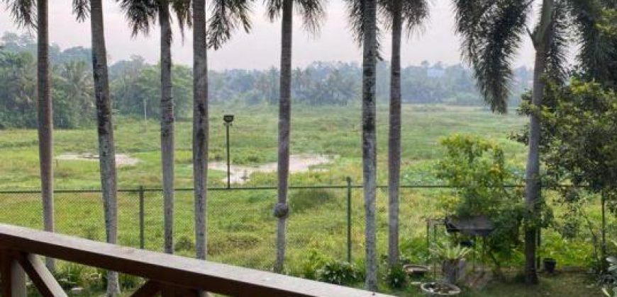 Luxury Villa with paddy field for sale at Pannipitiya