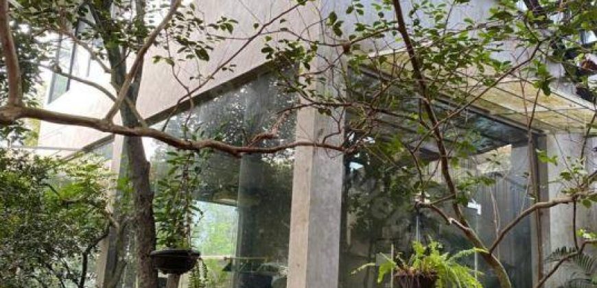 Luxury Villa with paddy field for sale at Pannipitiya