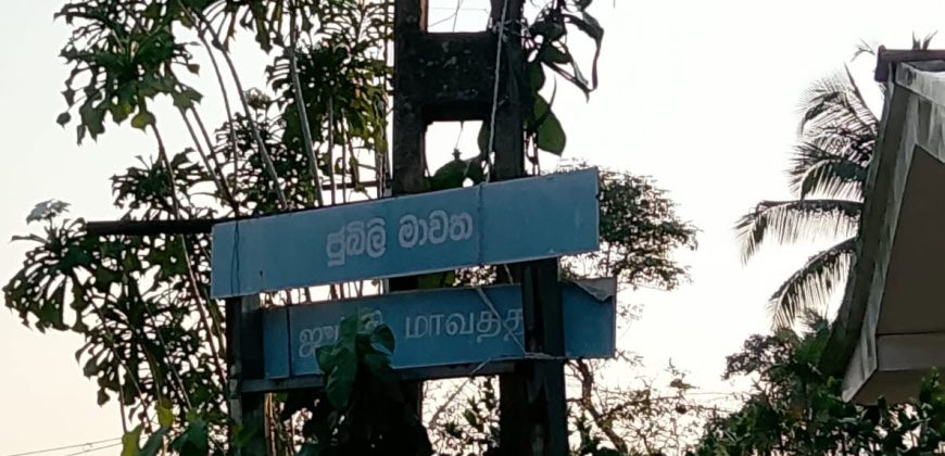 Residential Land for Sale – Weliveriya
